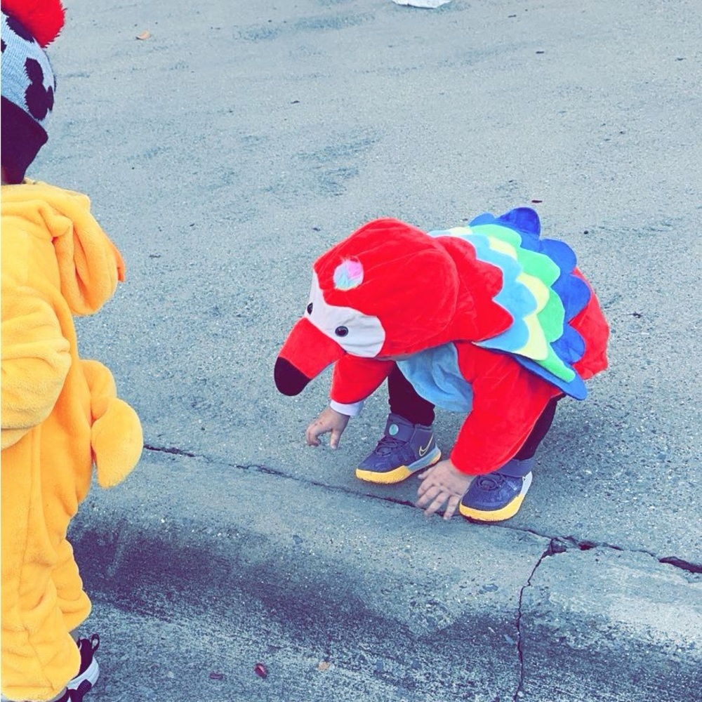 Parrot Costume 6-12M